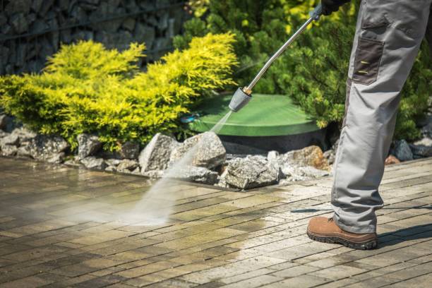 Best Boat and Dock Cleaning  in Foresthill, CA